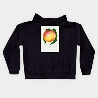 Globe Peach Lithograph (1900) Kids Hoodie